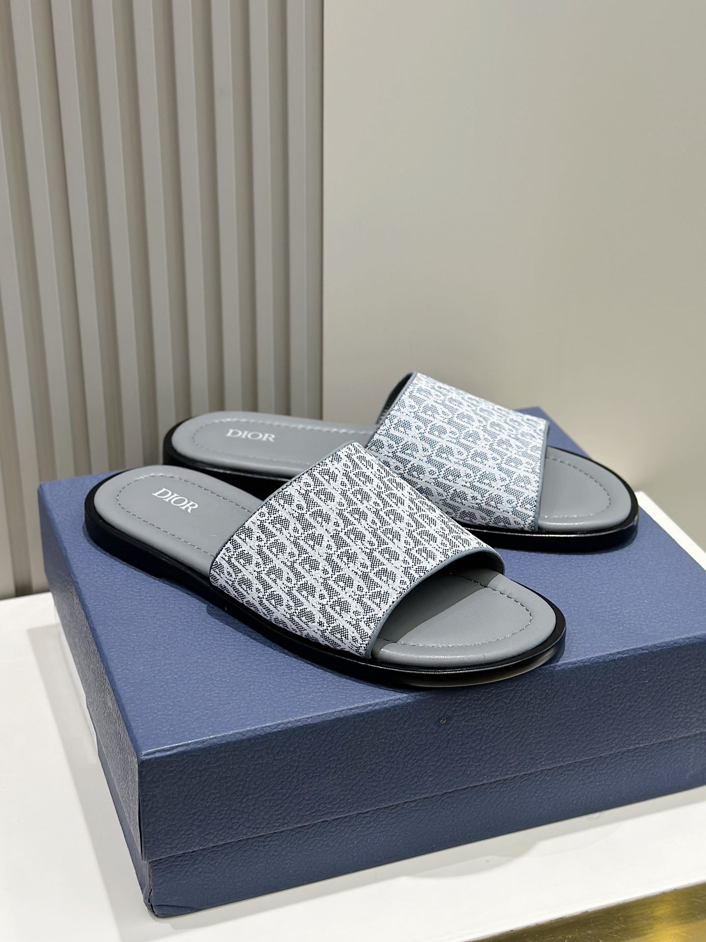 Christian Dior Slippers